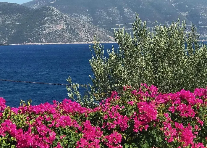 Appartement Manona's *